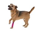 Extreme-Neoprene Joint Protective Reflective Pet Sleeves - Medium