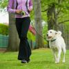 Cat Traction Rope Belt Dogs Walking Automatic Flexible Dog Leash - Green - 5 M