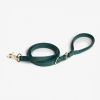 Jump Around - Luxury Waterproof Durable Dog Leash - Jungle Green