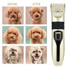 Pet Grooming Set - Gold