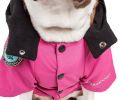 Touchdog Mount Pinnacle Pet Ski Jacket - Medium - (JKTD10PKMD)